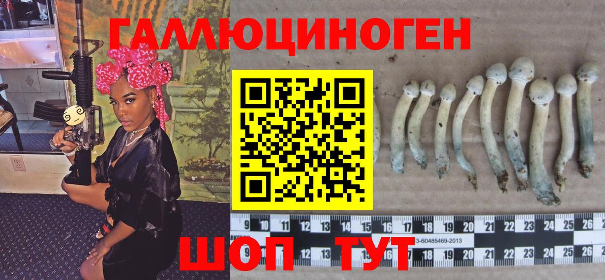 Псилоцибиновые грибы прущие грибы Волжск