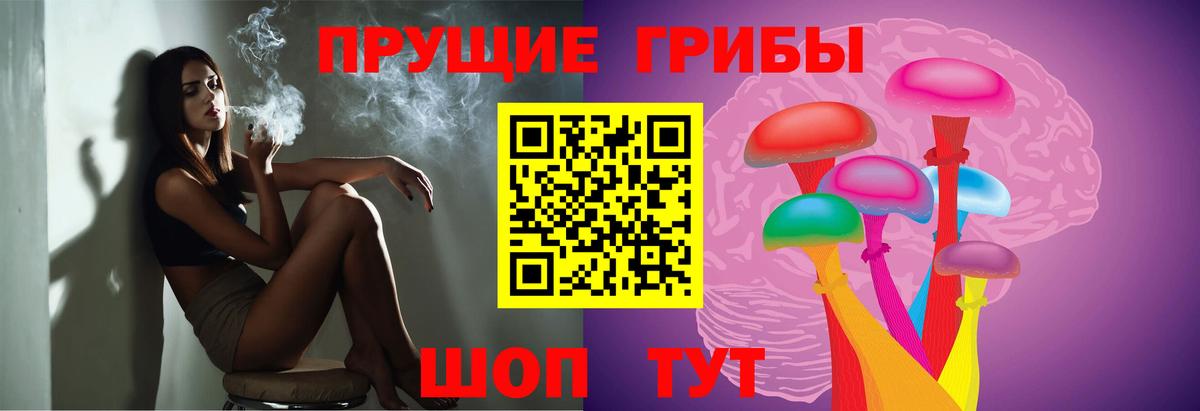 Волжск  Галлюциногенные грибы Psilocybine cubensis  Вход с VPN 